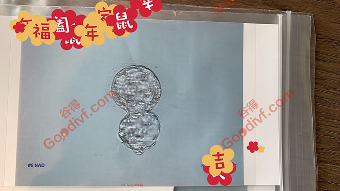 微信图片_20200114135547.jpg