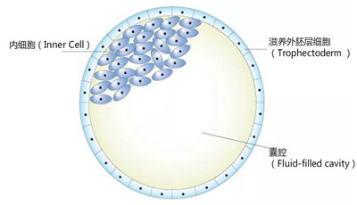 微信图片_20200716141323.jpg