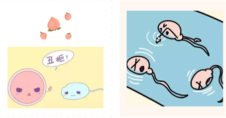 微信图片_20200911150118.png