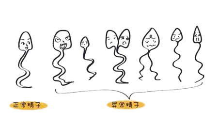 微信图片_20200911150514.png