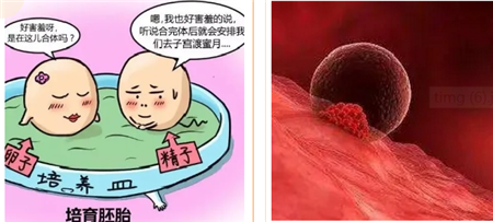 微信图片_20200911150530.png