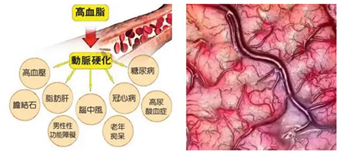 微信图片_20210323162105.png
